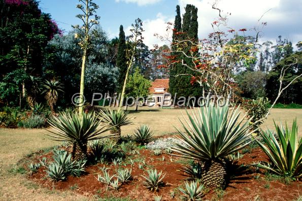 kenya 31.jpg - RÈsidence de Karen  BlixenKaren Blixen houseNairobiKenya